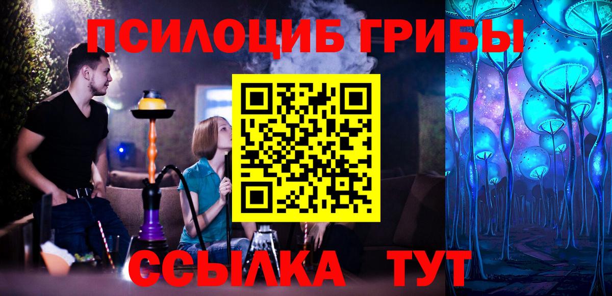 Псилоцибиновые грибы Psilocybine cubensis  Вход с VPN  Гусев 