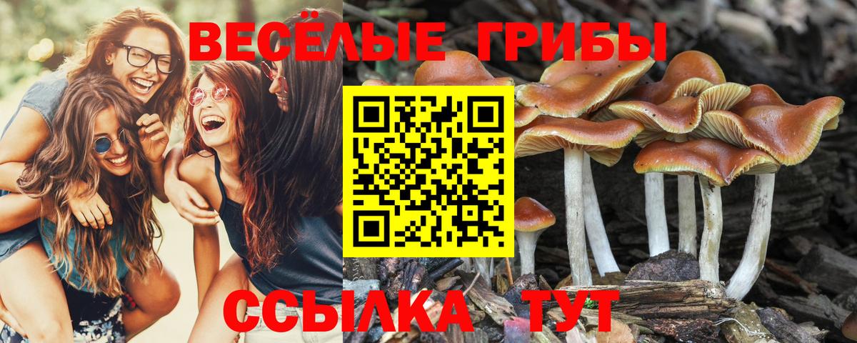 Меф МЯУ МЯУ   Канабис  ГАШИШ  Кетамин  Вход с VPN  Гусев  Купить наркотик 